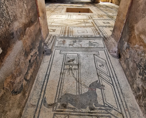 guida Pompei: Casa di C. Cuspius Pansa o di Paquius Proculus a Pompei