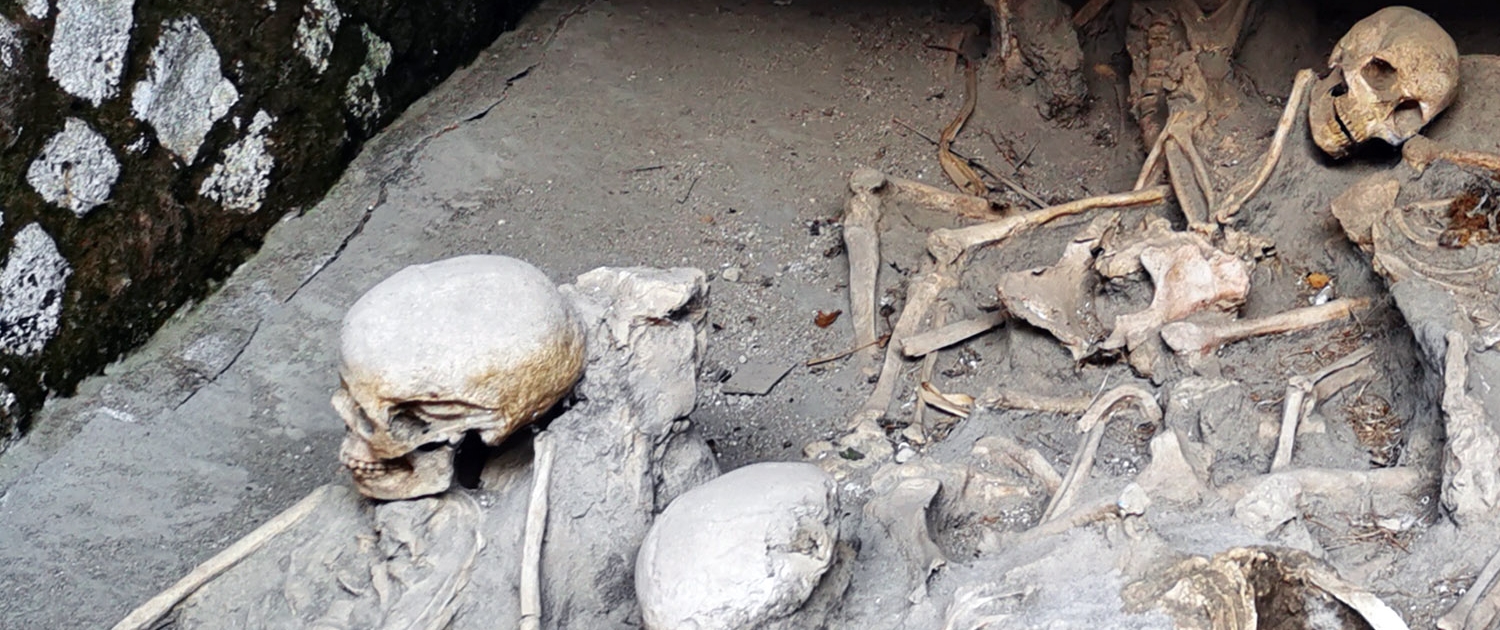 Human Skeletons in Herculaneum