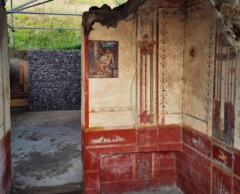 Pompeii and herculaneum guided tour: The fresco representing Leda and the Swan in the so called "new excavations"