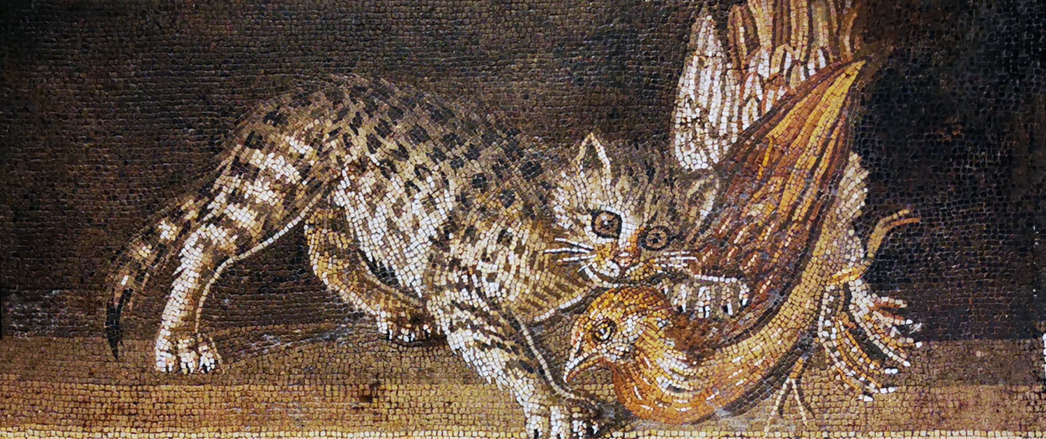 Mosaico con gatto con uccello dalla Casa del Fauno a Pompei