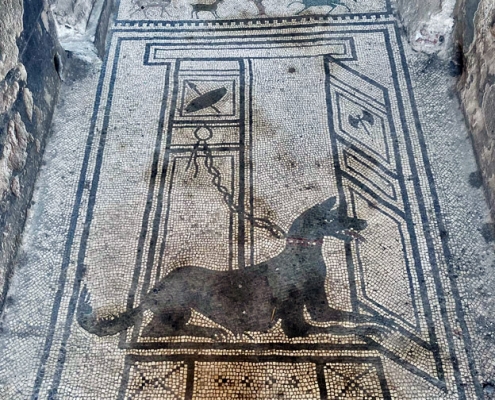 Pompeii Herculaneum Vesuvius tour: Mosaic floor with a guard dog by the entrance of the House of Paquius Proculus in Pompeii