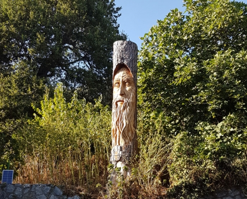 Face of an elderly man engraved on a tree trunk on the Amalfi Coast