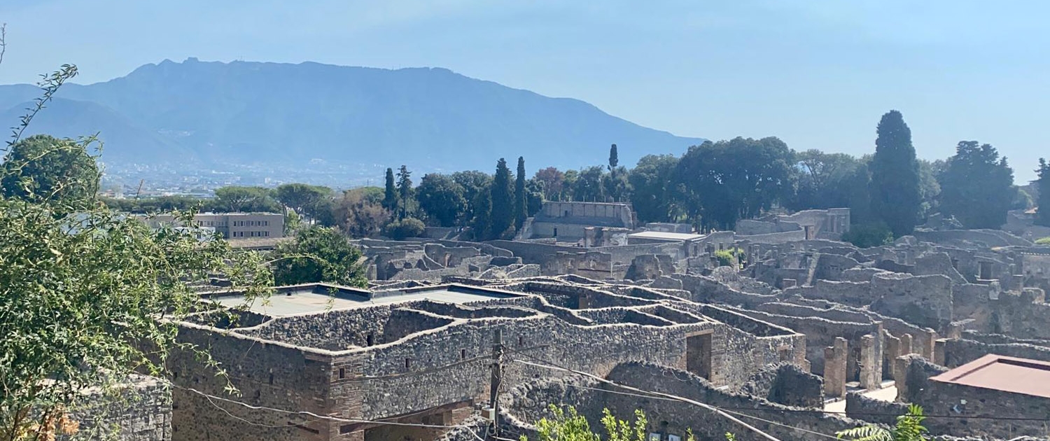 Vista dall'alto dell'antica Pompei