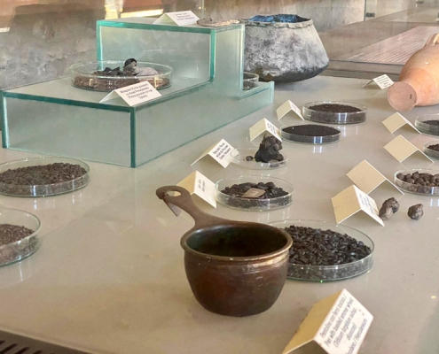 Charred food in in a showcase of the Large Palestra of Pompeii