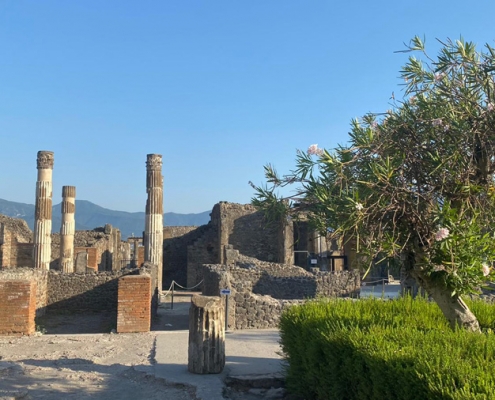 House of the Faun in Pompeii and the chain of the "Lattari" Mountains in the distance