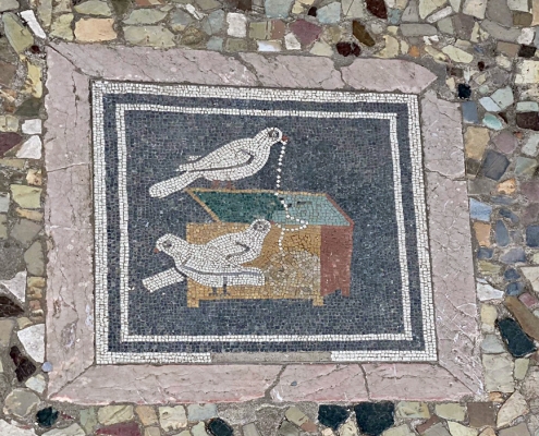 The floor in the left ala of the House of the Faun in Pompeii: the open rooms on each side of the atrium were called alae.