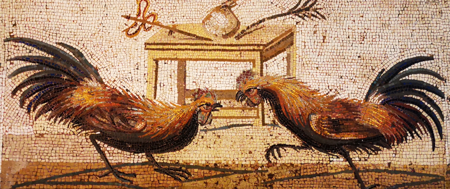 Mosaico di combattimento tra galli (ludus gallinarius e mensa agonistica) oggi custodito al Museo Archeologico Nazionale di Napoli